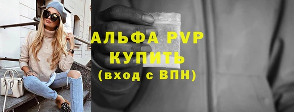 винт Каменка
