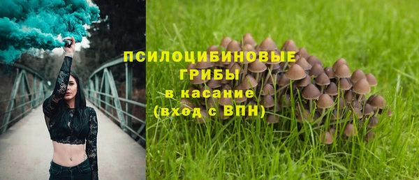 винт Каменка