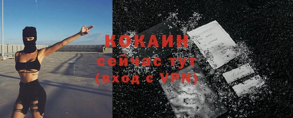 винт Каменка