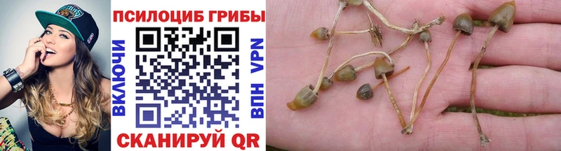 Псилоцибиновые грибы GOLDEN TEACHER  Купить закладки  Касли 